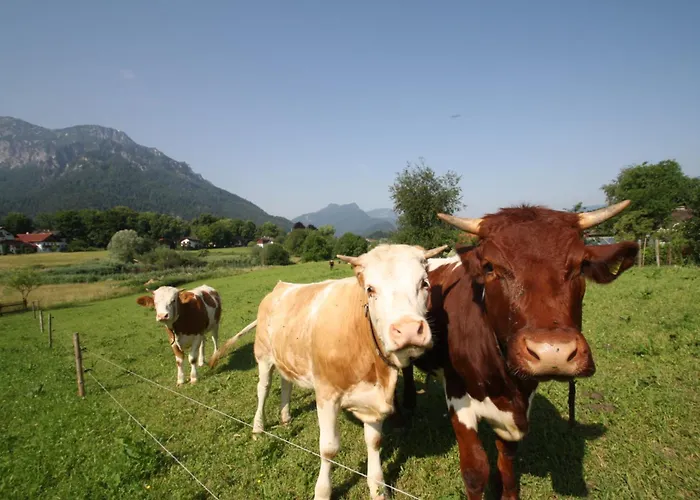 דירה Bachbauernhof *